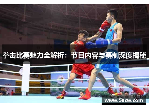 拳击比赛魅力全解析：节目内容与赛制深度揭秘