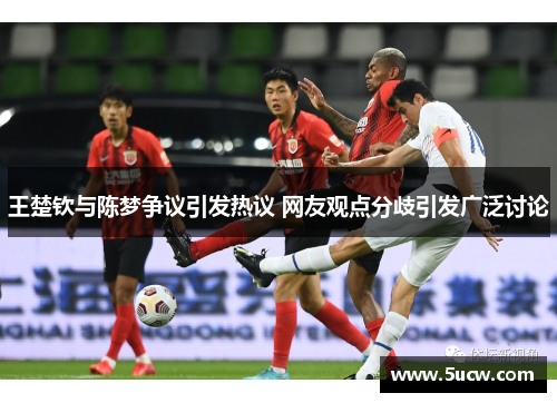 王楚钦与陈梦争议引发热议 网友观点分歧引发广泛讨论