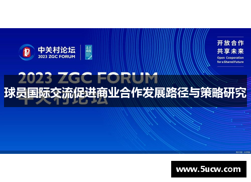 球员国际交流促进商业合作发展路径与策略研究 球员国际交流促进商业合作发展路径与策略研究